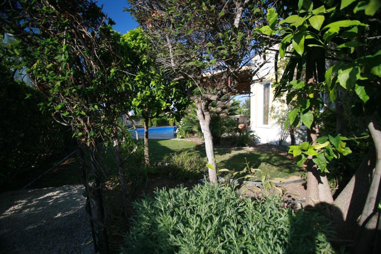 Beach Villa Sofia เนโอโชริโอ ภายนอก รูปภาพ