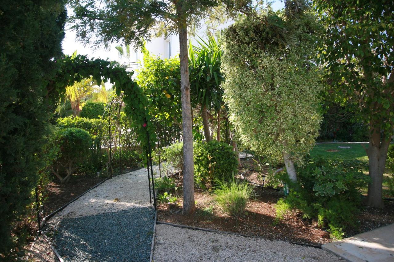 Beach Villa Sofia เนโอโชริโอ ภายนอก รูปภาพ